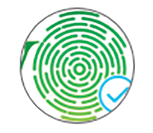 iPALWork Logo